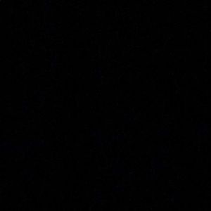 Meet your Posher, Kingsley